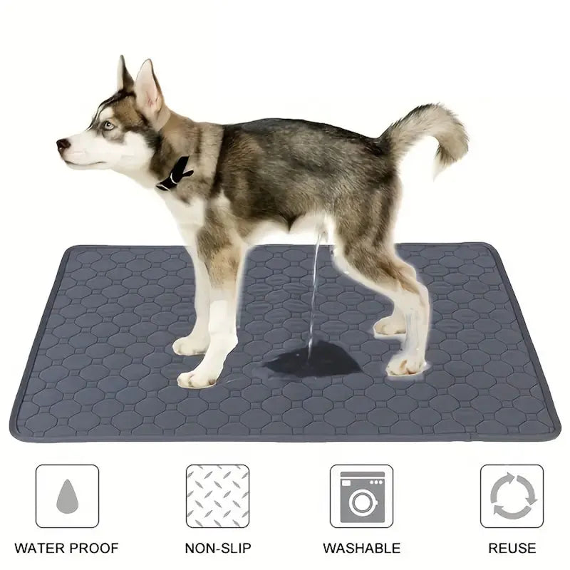 Ultimate Reusable Pet Pee Mat